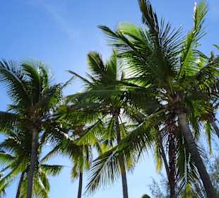 Impressionen von der Grand Anse