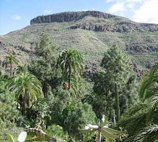 Blick vom Palmitos Park
