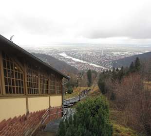 Aussicht vom Königsstuhl
