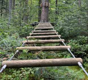 Waldklettergarten Atreenalin Dornstetten-Hallwange