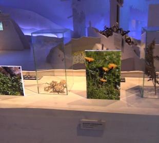 Nationalparkzentrum Haus der Berge