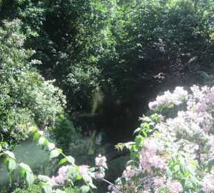 Altstadt Colmar Petit Venice