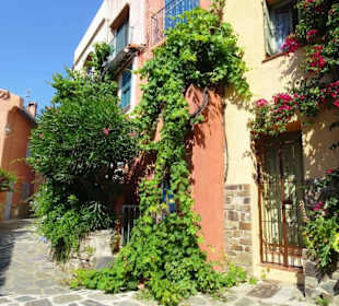 Spaziergang durch die Altstadt von Collioure