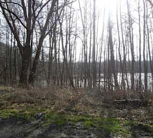 Naturschutzgebiet Boberger Niederung