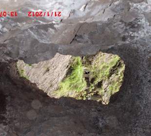 Fast die Kontur La Palmas