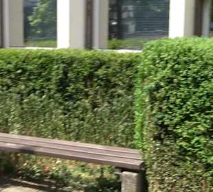 Gemeindeverwaltung Steinenbronn