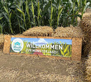 Monster-Maisfeldlabyrinth Alsdorf