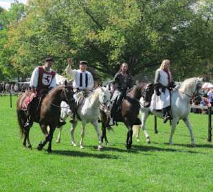 Mittelalterliches Spectaculum 