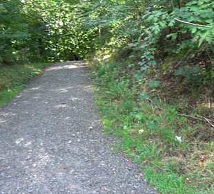 Sophienbrunnen von 1839 