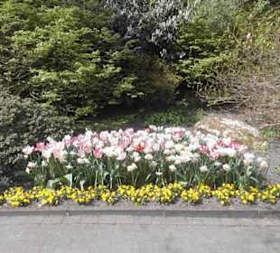 Weltvogelpark Walsrode