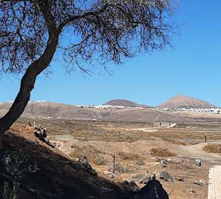 Wandern Puerto del Carmen