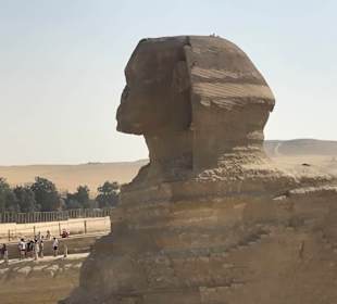Sphinx  von Gizeh 