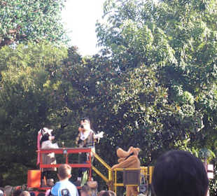 Wikommensgruß von Mickey