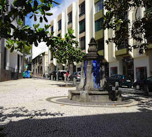 Inselrundfahrt Madeira