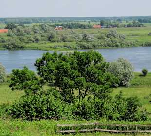 Blick auf die Elbe