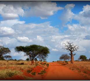 Tsavo i jego czerwone ścieżki