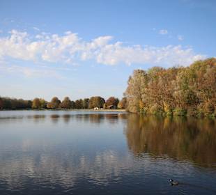 Blick auf den Hohnsensee
