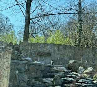 Tiergarten Straubing