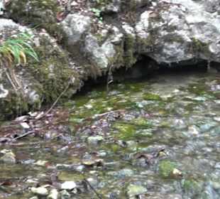 Echazquellen