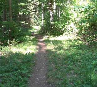 Wanderweg Sieben-Täler-Runde 
