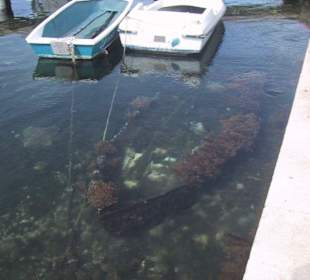 Versunkene Schätze im Hafen von Vodice