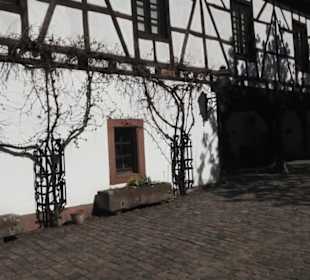 Theodor Zink Museum