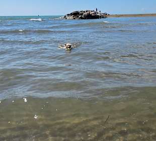 Es geht schon weit hinaus