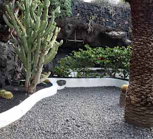 Fundacion Cesar Manrique