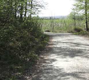 Wanderweg Firstwaldrunde