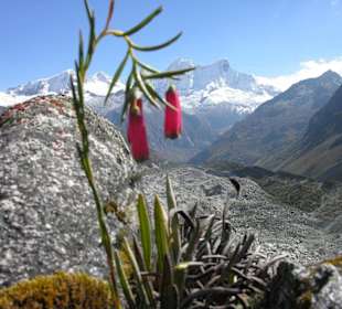 Huascarán national park