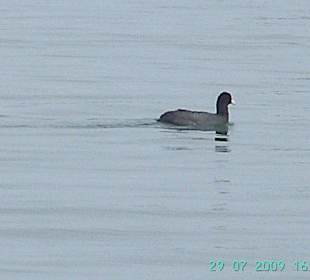 Freizeit- und Erholungszentrum am Kiessee