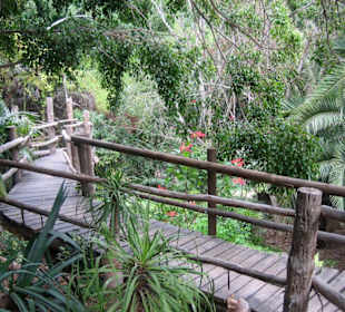 Jungle Park