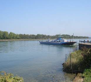 Rheinfähre