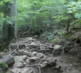 Wasserfall-Tour: Weg zu den Rißlochwasserfällen