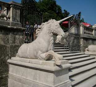 Ein Einhorn gebrüßt uns