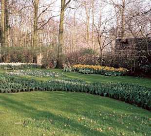 Blumenpracht im Keukenhof / Holland