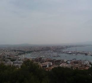 Blick auf den Hafen von Palma