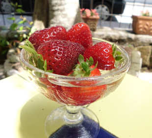 Schmackhafte Beigabe - sehr nett und lecker