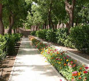 Fl;ower beds at the mosque