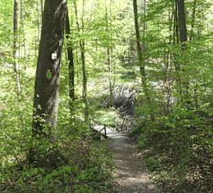 Wanderweg Hochgehwachsen