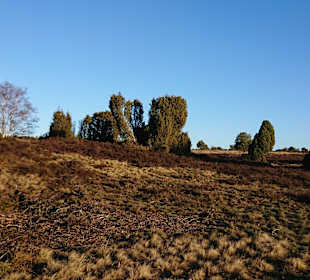 Wandern Undeloh