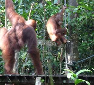 Auf gehts zur Fütterung! 