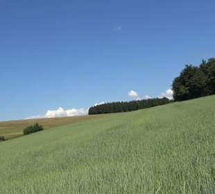 Burg Hölnstein Stetten u. Holstein