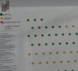 Obstsortenmuseum Pliezhausen
