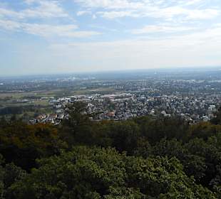 Blick auf Hofheim