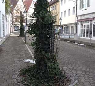 Flair Hotel Vier Jahreszeiten