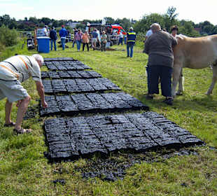 ...eine Fingerprobe, sind die schon trocken ??