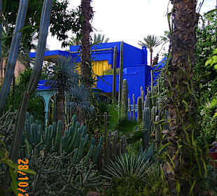 Jardins de Majorelle