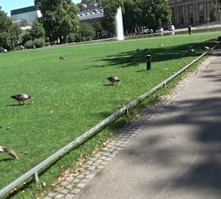 Statuen am Schlossplatz