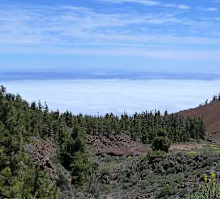 Wandern Puerto de la Cruz 